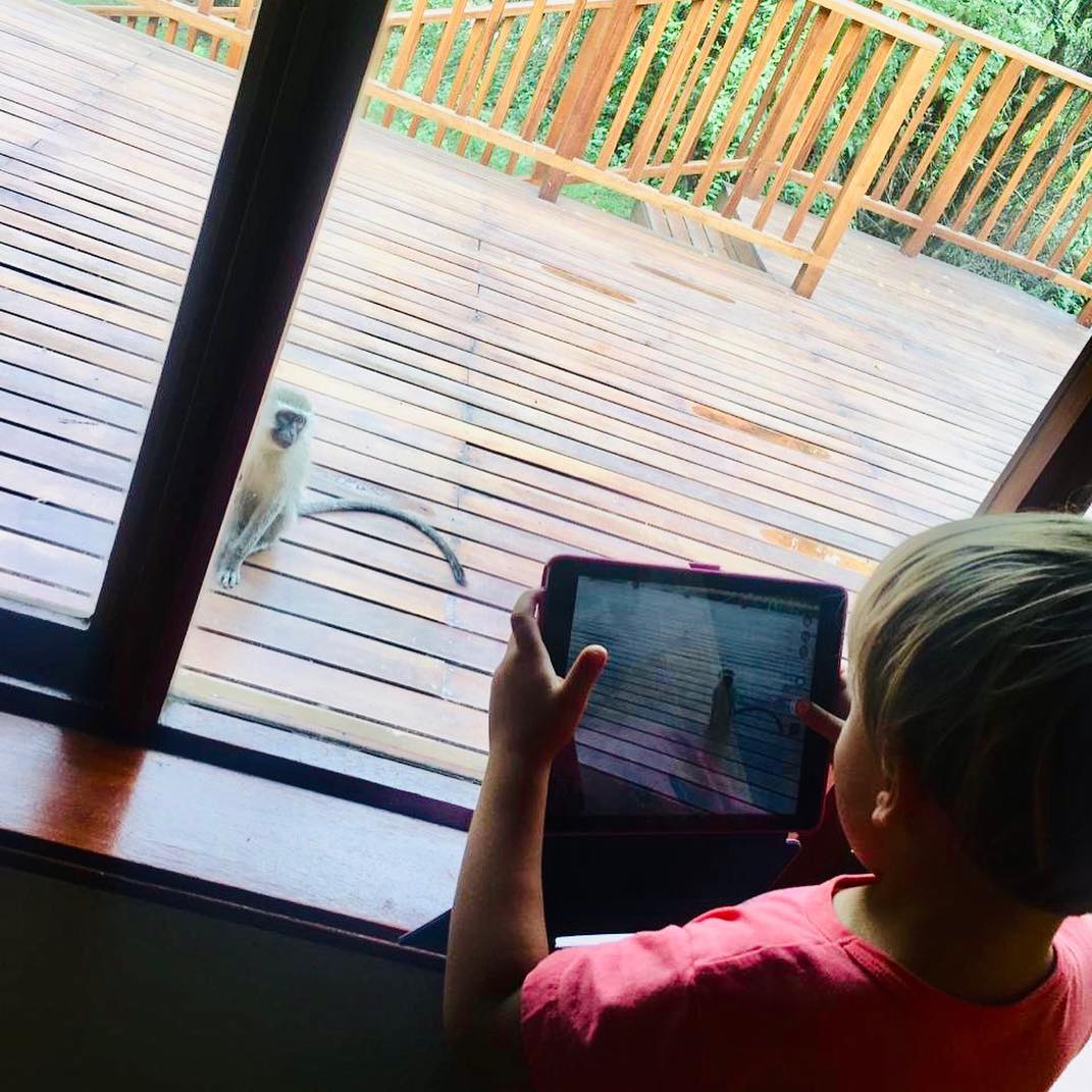 48381529_10212132889174027_2625024160945930240_o