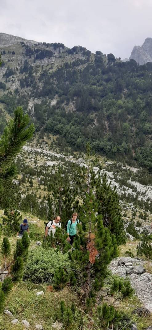 96ca671e-2927-4ba1-ae77-c10b37963cd1