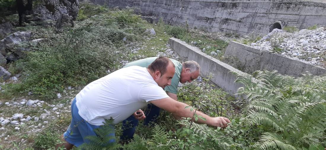 f76a2ede-b364-4928-86d4-d31ef463cd42