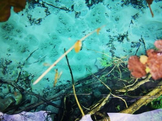 1f49b609-32fc-4b4d-907d-4eca85ddeda5