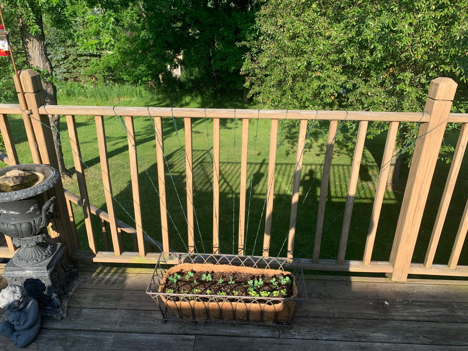 73074723-221f-48a9-90e0-06c5a070fe74