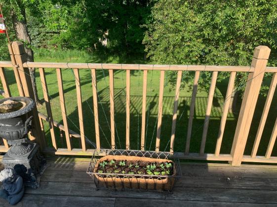 73074723-221f-48a9-90e0-06c5a070fe74