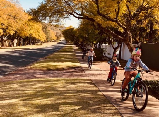 fullsizeoutput_117ee